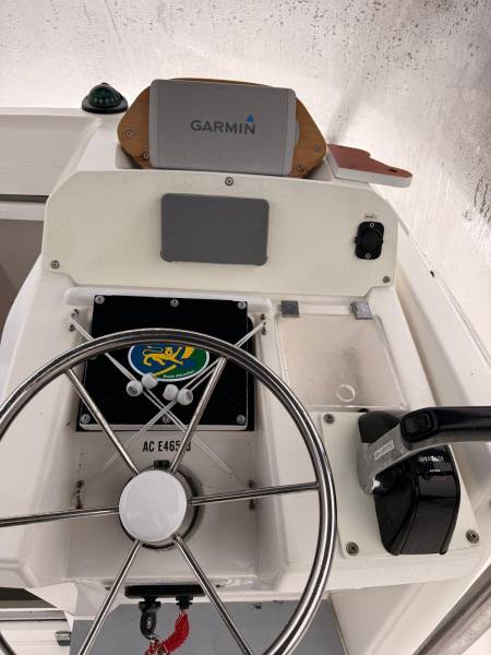 WHITE SHARK 246