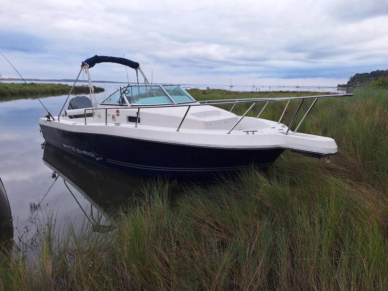 White Shark 236